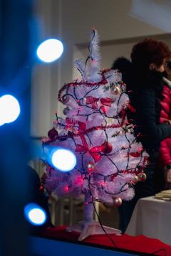 Božičnica 2023 nas je popeljala v zimsko čudežno deželo